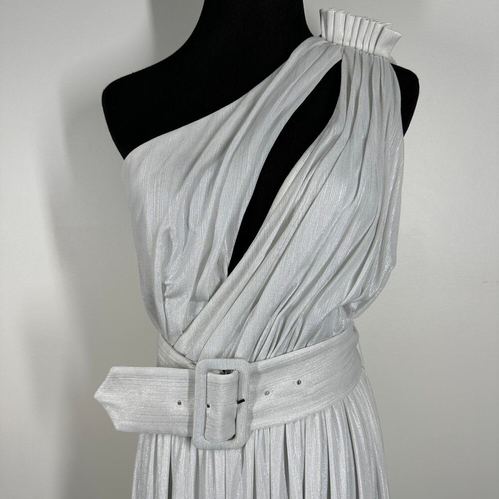 Retrofete Platinum Andrea One Shoulder Pleated Metallic Jersey Gown Small - Picture 6 of 14